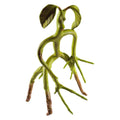 Figura Bowtruckle – Animales Fantásticos