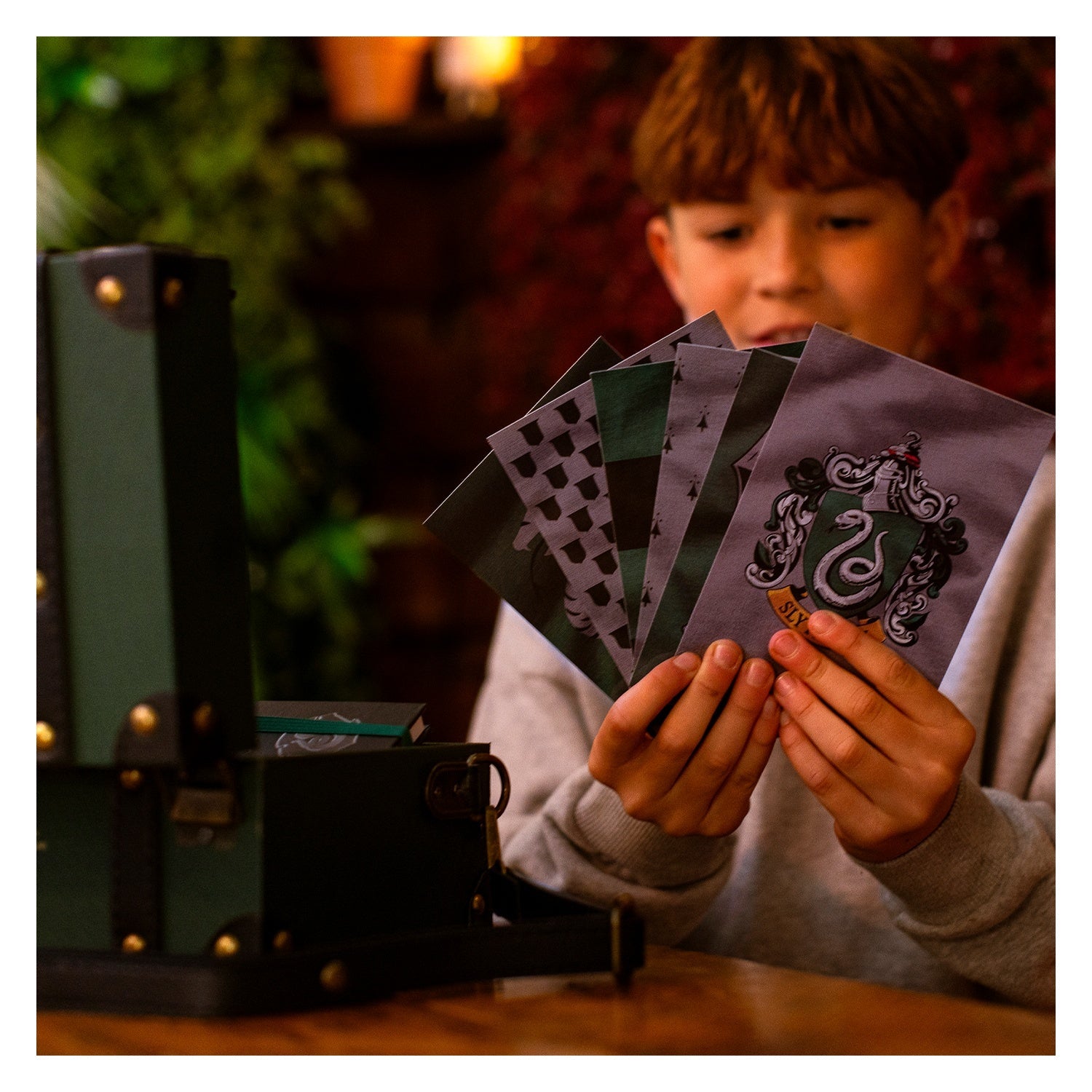 Set de Regalo Premium Harry Potter - Slytherin