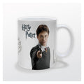 Tazón Harry Potter - Escudo Hogwarts Clásico